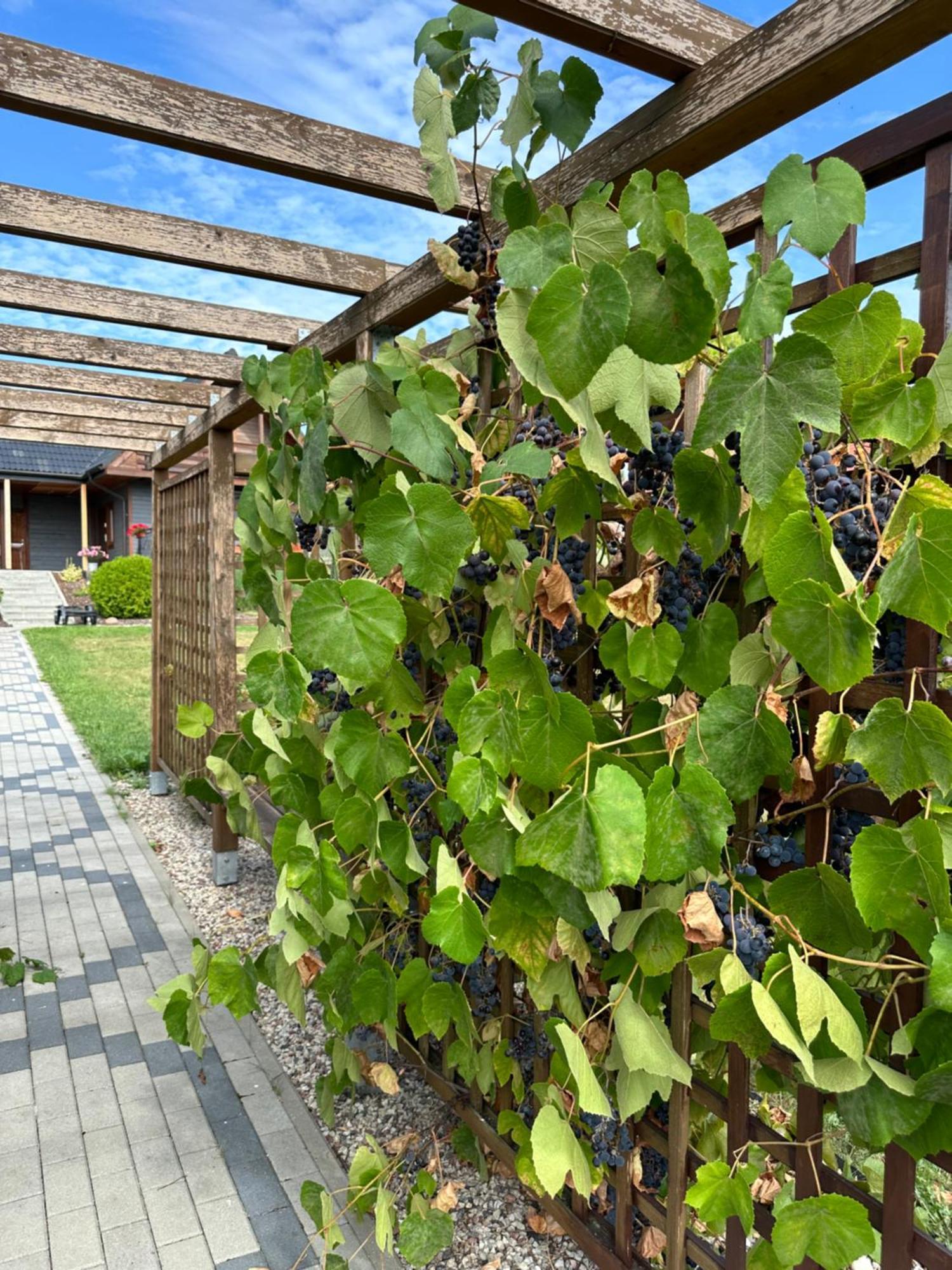 Rajska Przystan II Villa Wrony Buitenkant foto